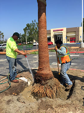 landscapers at work