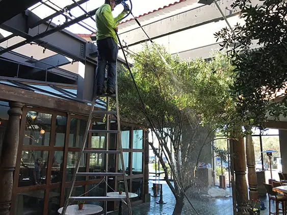 tree spraying