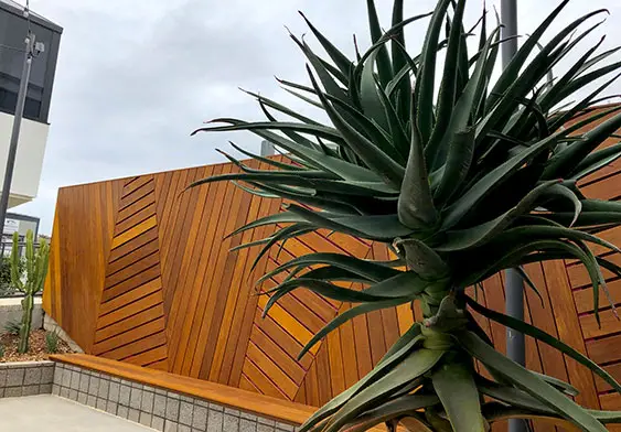 Wooden Wall with Plant