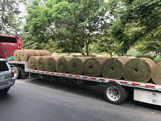 Rolls of sod on semi